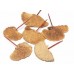 MUSHROOM SPONGE PICKED  Natural (HEADER)-